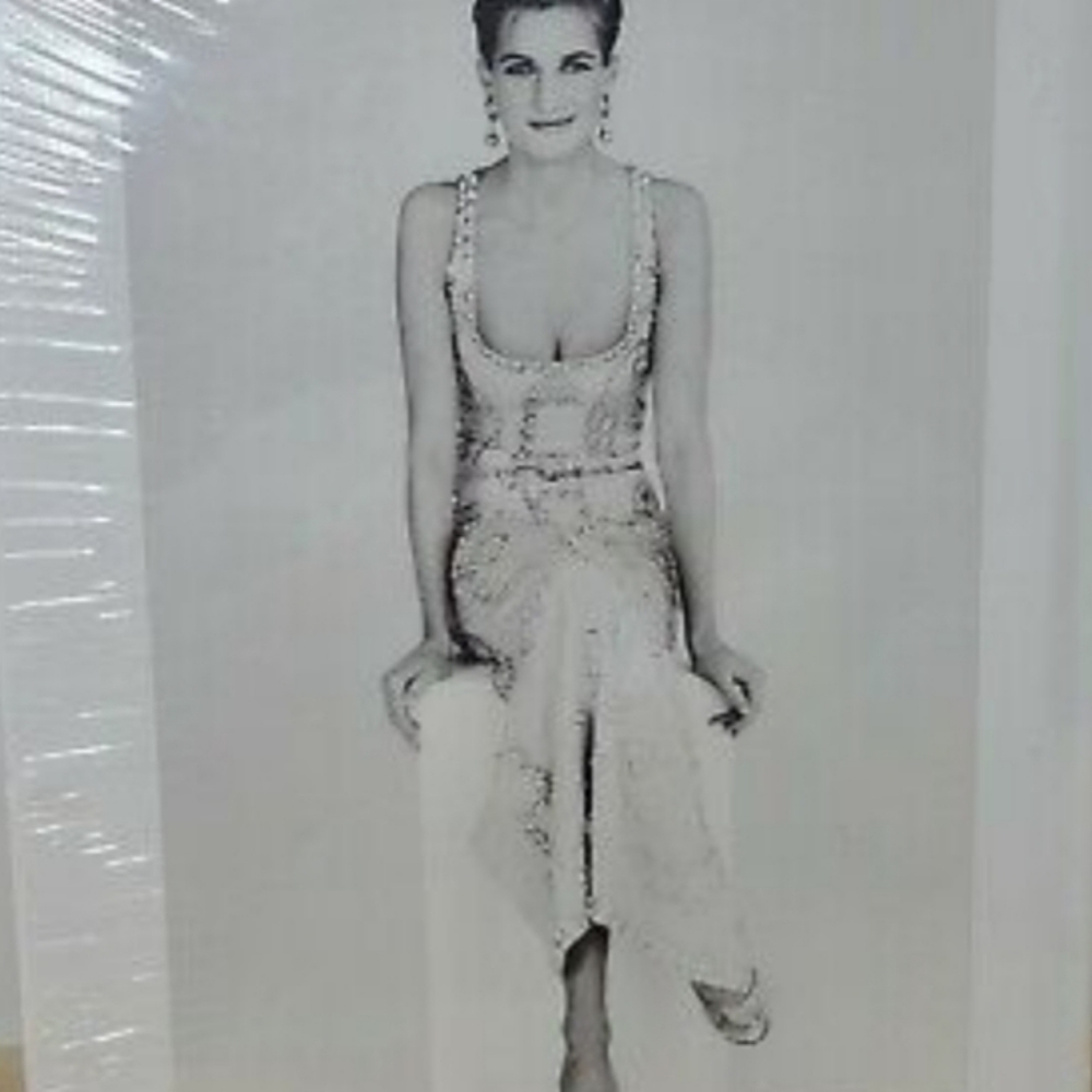 Princess Diana The Portrait                               By, Rosalind Coward